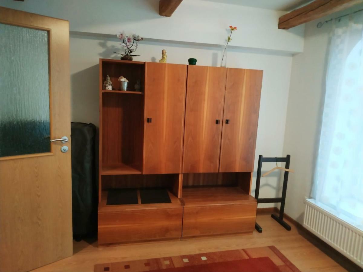 Apartment Krkonosska Танвалд Екстериор снимка